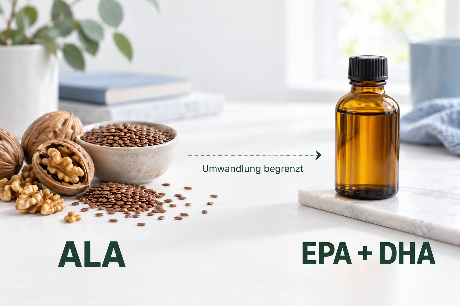 Leinsamen und Walnüsse als ALA-Quellen neben einem neutralen Algenöl mit EPA und DHA