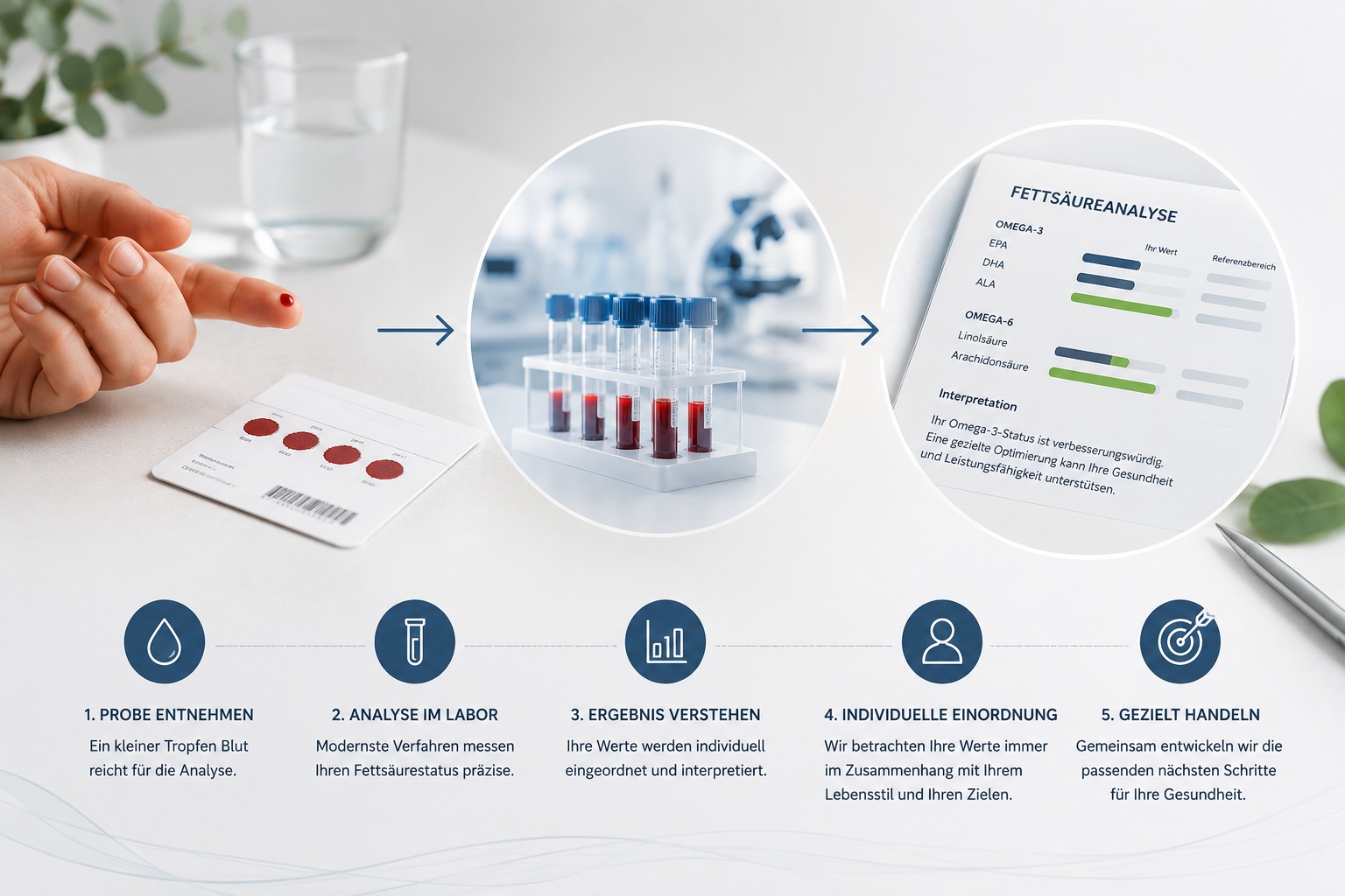 Ablauf eines Omega-3-Bluttests von der Blutprobe über die Fettsäureanalyse bis zur individuellen Einordnung